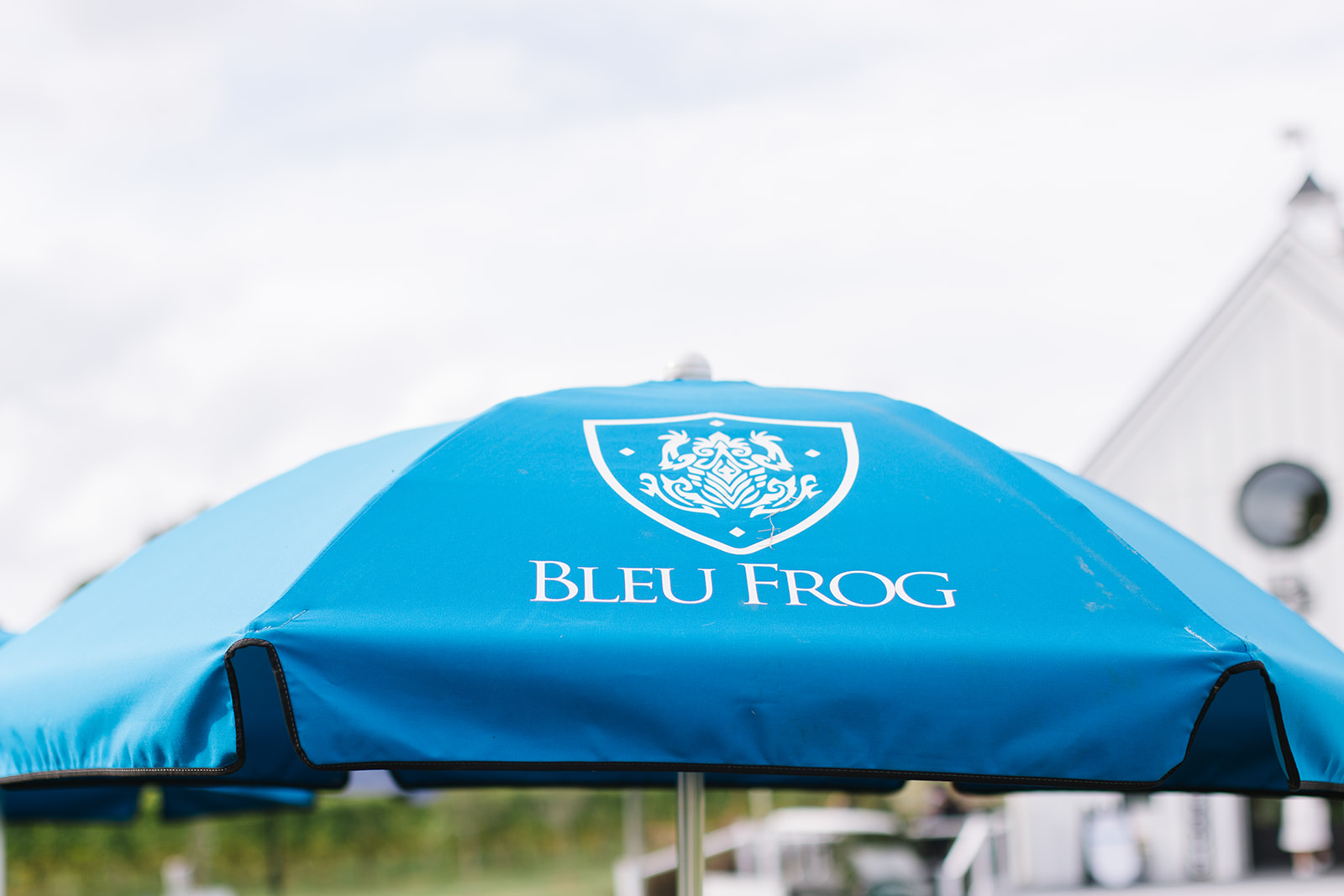 umbrella with a bleu frog logo Northern Virginia Wineries